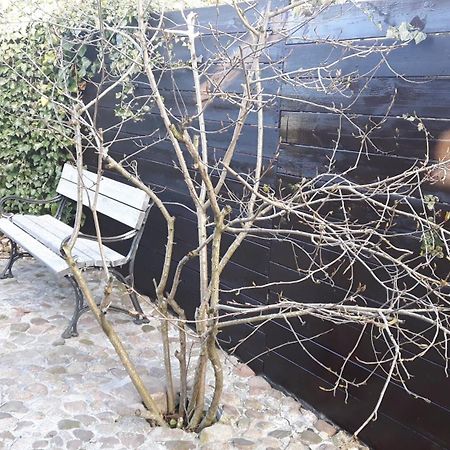 Zacisze Kalwy Apartment Luaran gambar